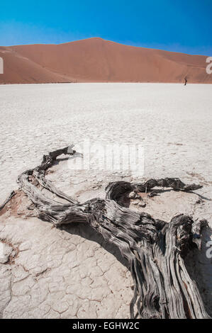 Paysage surréaliste dans le désert du Namib au lever du soleil Banque D'Images