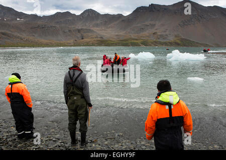 La Géorgie du Sud, Cumberland Bay, Jason Port, navire d'expédition approche zodiac beach Banque D'Images