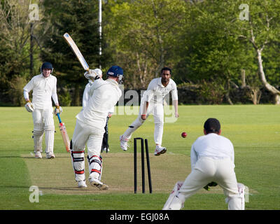 Jouer au cricket dans un match de championnat Banque D'Images