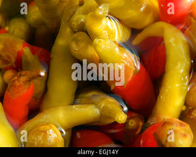 Vue d'un pot ouvert composé de piments dans une solution de vinaigre, eau et sel. Banque D'Images