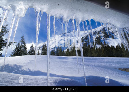 Glaçons pendant longtemps depuis le toit d'un chalet en hiver Banque D'Images