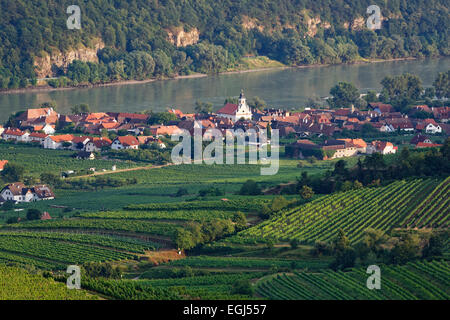 Paysage urbain, Wösendorf, municipalité de Weißenkirchen in der Wachau, Danube, Wachau, Waldviertel, Basse Autriche, Autriche Banque D'Images