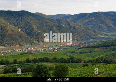 Paysage urbain, Joching et Wösendorf, Weißenkirchen in der Wachau, Danube, Wachau, Waldviertel, Basse Autriche, Autriche Banque D'Images