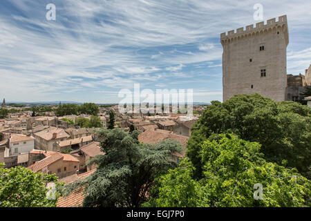 AVIGNON, FRANCE - 12 MAI 2014 : une vue de l'historique palais papal remontant au Moyen Âge. Banque D'Images