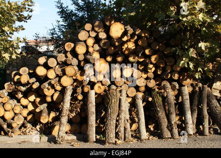 Pile de bois de chauffage - grumes coupées et prêtes pour la gravure Banque D'Images