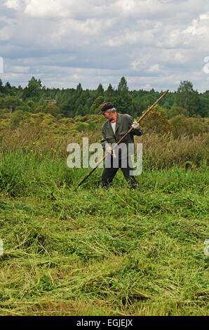 Couper l'herbe sur village garden. Banque D'Images