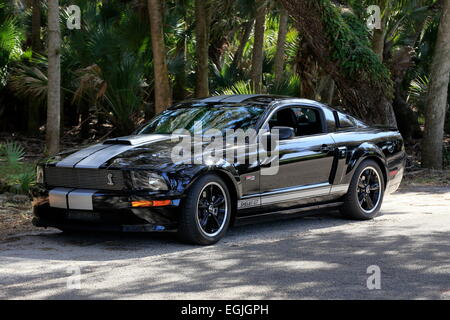 Un modèle 2007 Ford Mustang GT Shelby automobile Banque D'Images