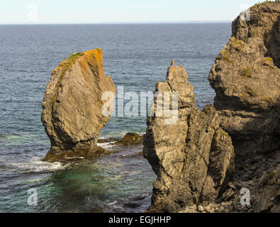 Formations rocheuses sauvages de la péninsule de Bonavista à Terre-Neuve, Canada Banque D'Images