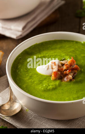 Printemps Vert Maison Soupe aux pois à la crème et Bacon Banque D'Images