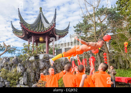 Performance Kung fu d'expert par des moines Shaolin, Banque D'Images