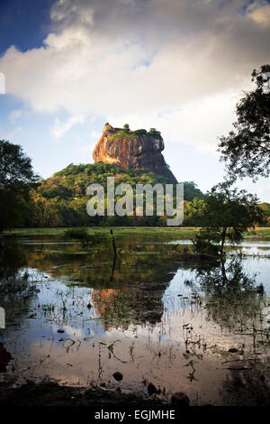 Lion Sigiriya Rock Fortress in Sri Lanka Banque D'Images