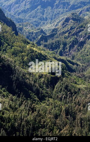 Cilaos, île de la Réunion, France. 4e août 2013. Montagnes sur la RN5 (route nationale) pour le cirque de Cilaos, un des trois cirques de l'île de la réunion © Valérie Koch/ZUMA/ZUMAPRESS.com/Alamy fil Live News Banque D'Images