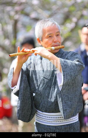 Guy japonais jouant un flute au Festival Hanami Banque D'Images