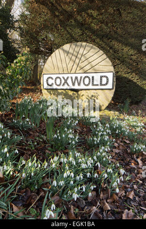 Roue du Moulin village Coxwold road sign et perce-neige dans le Yorkshire du Nord. Banque D'Images