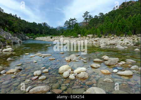 River Solenzara, Corse-du-Sud, Corse, France Banque D'Images