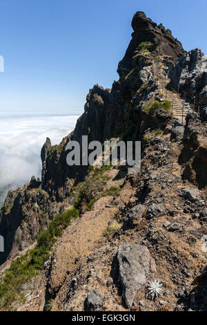 Trail de la Pousada Do Arieiro à Pico Ruivo, nuages Passat s'empilent sur les pentes des montagnes, Parque Natural da Madeira Banque D'Images