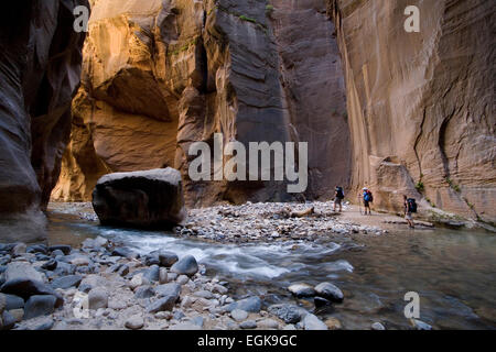Les femmes routards randonnée les Narrows, parc national de Zion, Utah Banque D'Images