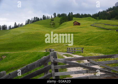 Refuge de montagne alpine Meadow en ondulant dans le Printemps Banque D'Images