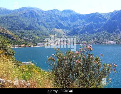 Risan - Baie de Kotor, Monténégro Banque D'Images