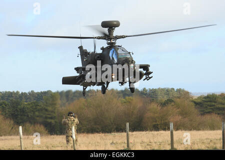 Agusta Westland Armée Britannique l'hélicoptère d'attaque Apache AH1 terres dans un champ pendant un exercice d'entraînement. Banque D'Images
