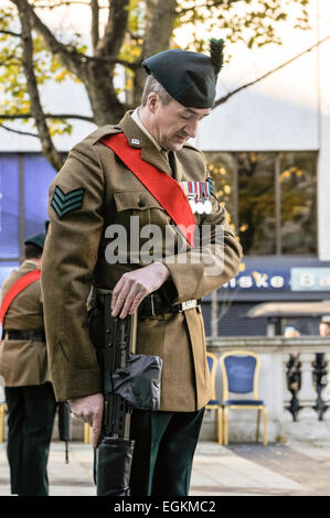 Belfast, Irlande du Nord. 10 Nov 2013 - Soldat du Royal Irish Regiment forme une garde d'honneur au cénotaphe au cours d'une cérémonie du Jour du souvenir. Banque D'Images