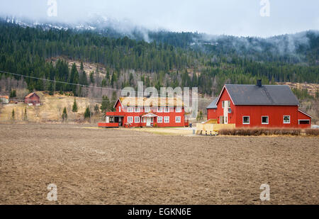 Paysage norvégien rurale avec des maisons en bois rouge et sur les collines de la forêt de brouillard Banque D'Images