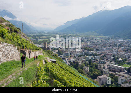 L'Europe, en Suisse, Alpes Suisse, Valais, Martigny, vignobles Banque D'Images