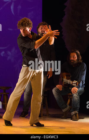 David Coria la danse. Ballet Flamenco de Andalucía effectuer 'Las Cuatro Esquinas' de leur 'Images production : 20 ans pendant la fête du flamenco Londres 2015 au Sadler's Wells Theatre. Le spectacle se déroule du 20 et 21 février avec le festival d'exécution du 16 février au 1 mars 2015. Banque D'Images