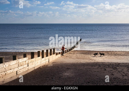 Homme marchant les chiens sur la plage déserte de brise-lames d'hiver passé en hiver Banque D'Images