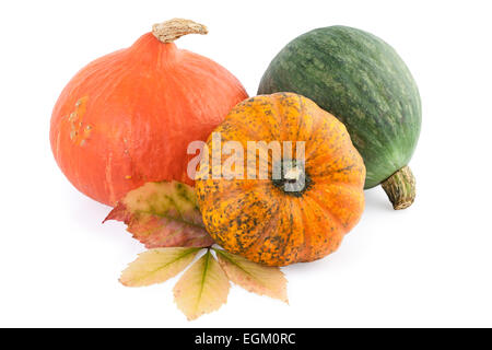 citrouilles courges Banque D'Images