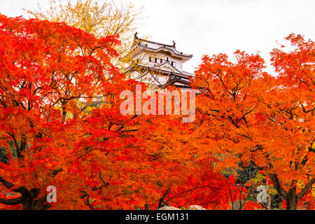 Château de Himeji, aussi appelé château du héron blanc, en automne, au Japon. Banque D'Images