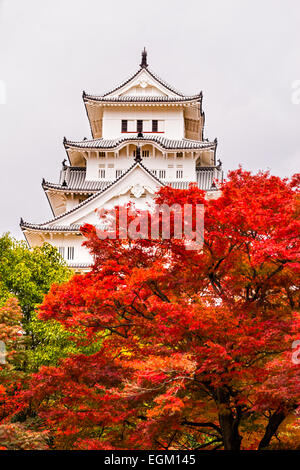 Château de Himeji, aussi appelé château du héron blanc, en automne, au Japon. Banque D'Images