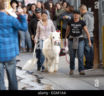 Hollywood, Californie, USA. 20 Nov, 2014. Un poney et un cochon a fait une apparition sur Jimmy Kimmel Live ! Le jeudi 20 novembre 2014 à Hollywood. © David Bro/ZUMA/Alamy Fil Live News Banque D'Images
