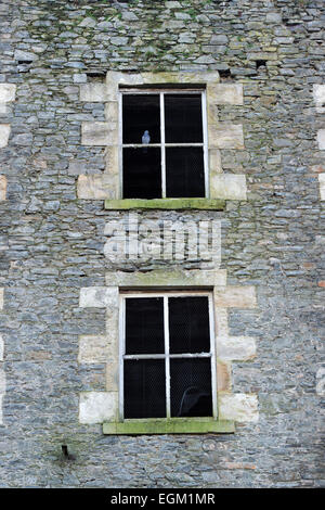 Moulin à l'abandon des fileurs à Selkirk, Scottish Borders, Scotland. Banque D'Images