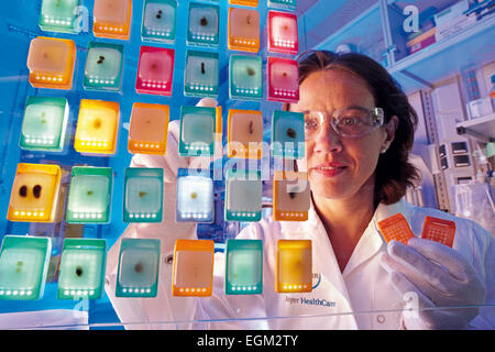 Document - un document photo, disponible le 26 février 2015, montre un travailleur de laboratoire au travail (sans date). Bayer présentera ses résultats financiers à Leverkusen, en Allemagne, le jeudi 26 février 2015 . PHOTO : Bayer HealthCare AG/dpa DANS LE CADRE DES RAPPORTS SUR LA SOCIÉTÉ BAYER/crédit obligatoire : "Photo : Bayer HealthCare AG/dpa' Banque D'Images