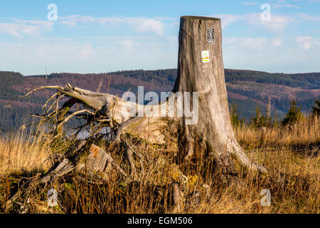 Dans la zone de montagne du Sauerland, a été frappé par l'ouragan "Kyrill" en 2007, le total des forêts détruites, Banque D'Images