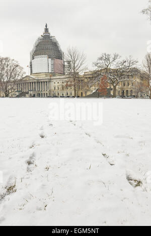 (150226) -- WASHINGTON, D.C., le 26 février 2015 (Xinhua)-- le Capitole des États-Unis est considéré après chute de neige à Washington, DC, la capitale des États-Unis, 26 février 2015. (Xinhua/Bao Dandan) Banque D'Images