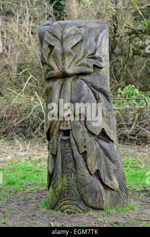 Visage sculpté dans la région de Oak Tree Stump Banque D'Images