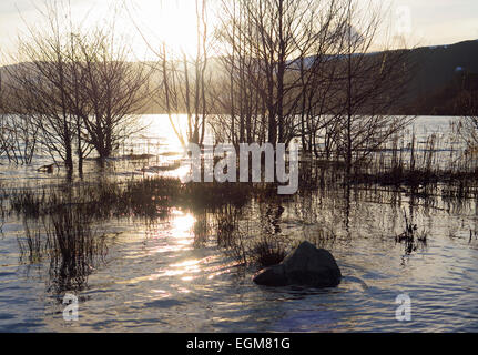 Coucher de soleil à Sallochy Bay Loch Lomond, Ecosse Banque D'Images