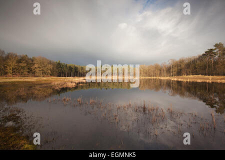 Fen paysage sur une morne jour Banque D'Images