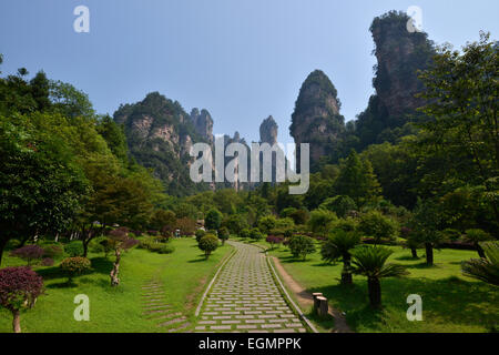 Piliers de grès dans les montagnes de Zhangjiajie, d'intérêt panoramique et historique de Wulingyuan Région, province du Hunan, Chine Banque D'Images