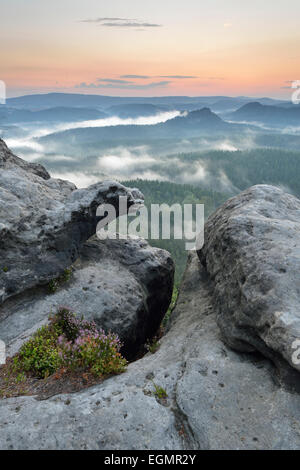 Vue de Kleiner Winterberg mountain à l'aube, des montagnes de grès de l'Elbe, la Suisse Saxonne, Saxe, Allemagne Banque D'Images