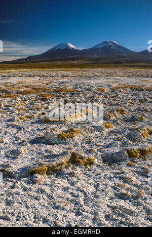 Vue panoramique sur les volcans Pomerape bolivien et Paranicota, plus hauts sommets dans le parc national de Sajama en Bolivie Banque D'Images