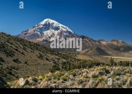 Vue pittoresque du volcan Nevado Sajama, plus haut sommet de Bolivie dans le parc national de Sajama Banque D'Images