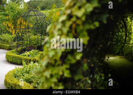 Dans le tunnel Ivy poison jardin au jardin d'Alnwick Banque D'Images