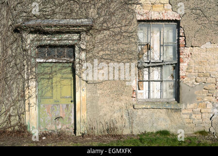 La végétation et la puce de plus de porte dans la maison vide près de Leeds yorkshire uk Banque D'Images