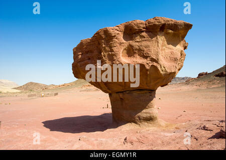 'Le' Champignons rock formation à Timna Park dans le sud du désert du Néguev en Israël Banque D'Images