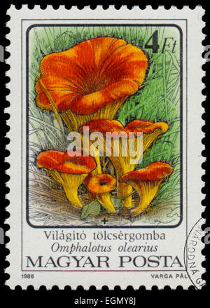 Hongrie - VERS 1986 : un timbre imprimé en Hongrie montre des champignons vénéneux Orange Jack O'Lantern - champignons Omphalotus olearius Banque D'Images