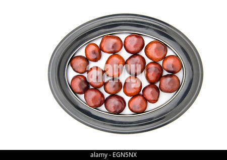 Graines fruits de conker chesnuts dans photo cadre ovale isolated on white Banque D'Images