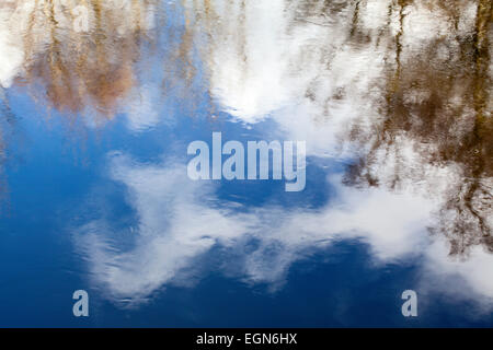 Ciel bleu et nuages blancs réflexions dans la rivière Nidd à North Yorkshire Angleterre Knaresborough Banque D'Images
